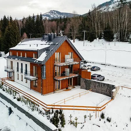 Dolni Morava-5 By Interhome شقة Horní Morava